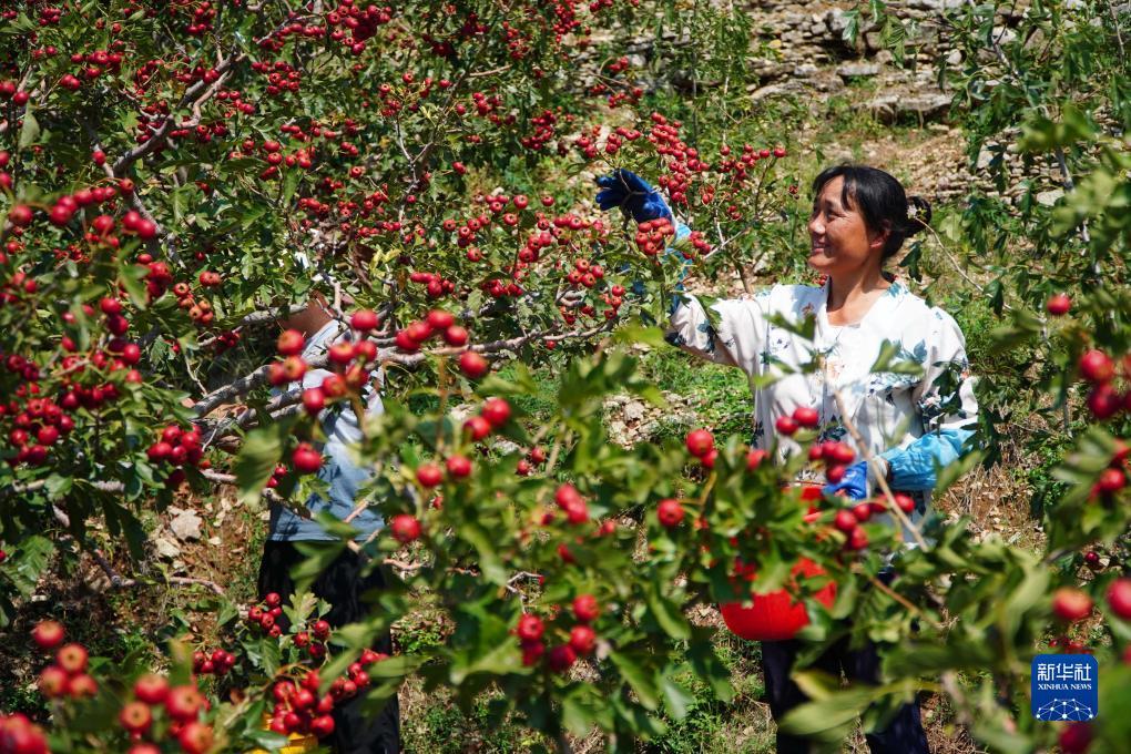 菠菜充值漏洞